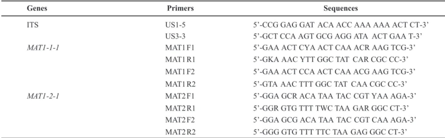 TABLE 2 - Analysis of the mating type in single ascospores isolates.