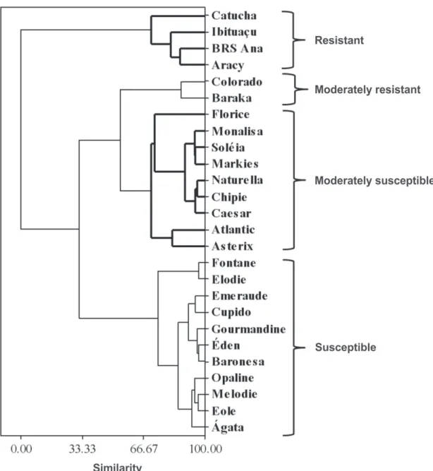 FIGURE 2 - Dendrogram for the potato cultivars clustered according to their levels of early blight resistance based  on the standardized Euclidean distance and on the complete linkage method.