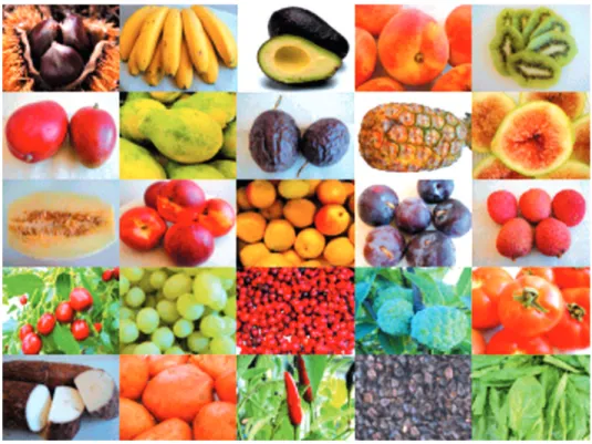 Figura 3 - Síndrome látex-frutos: alergia alimentar a frutos e outros alimentos de origem vegetal por reactividade cruzada em doentes alérgicos ao látex