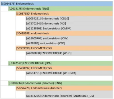 Table 11 – AUI, SUI, LUI and CUI: the building blocks of the Metathesaurus 74