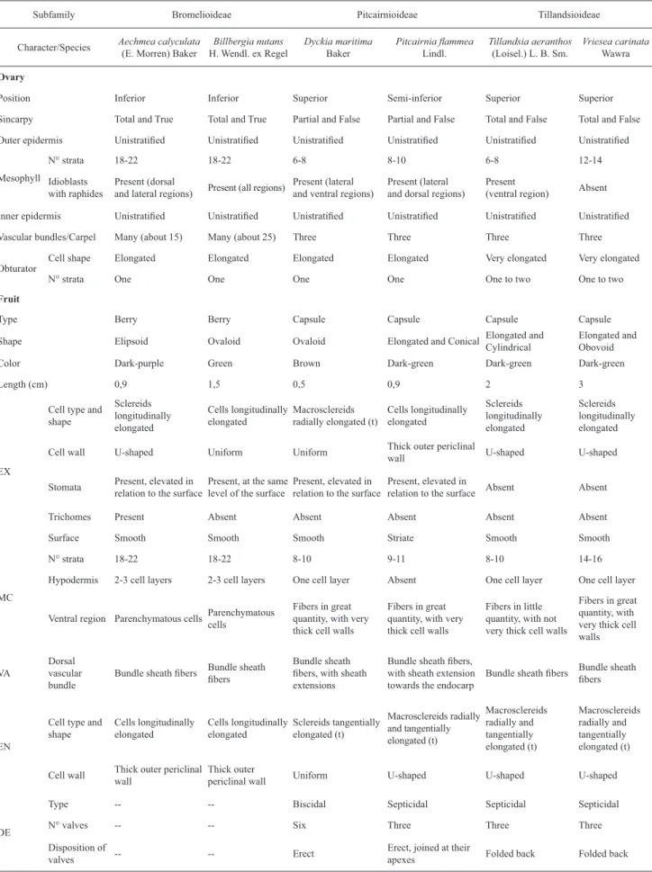 Table 1. Comparison of morphoanatomical characters involving the ovary and mature fruit among the six species studied