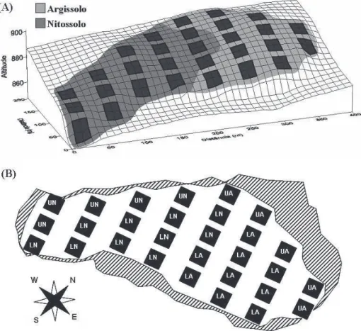 Figure 1. (A) Surface diagram showing the topography of Mata da Lagoa and the distribution of the 29 sample plots (20 × 20 m) and two soil types