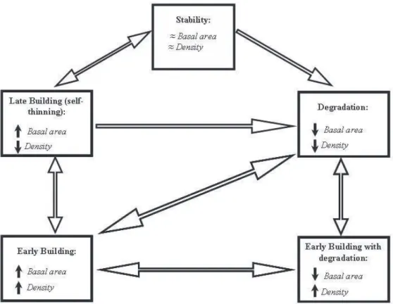 Figure 4. Flow diagram representing the interactions among hypothetical forest regeneration phases and their respective tree community dynamics trends expressed  as changing demography (density) and biomass (basal area).