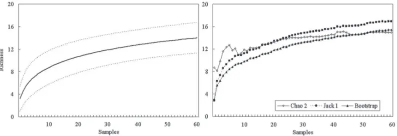 Figure 1. Rarefaction curve and richness estimators of epiphytic ferns sampled on the total number of Alsophila setosa Kaulf