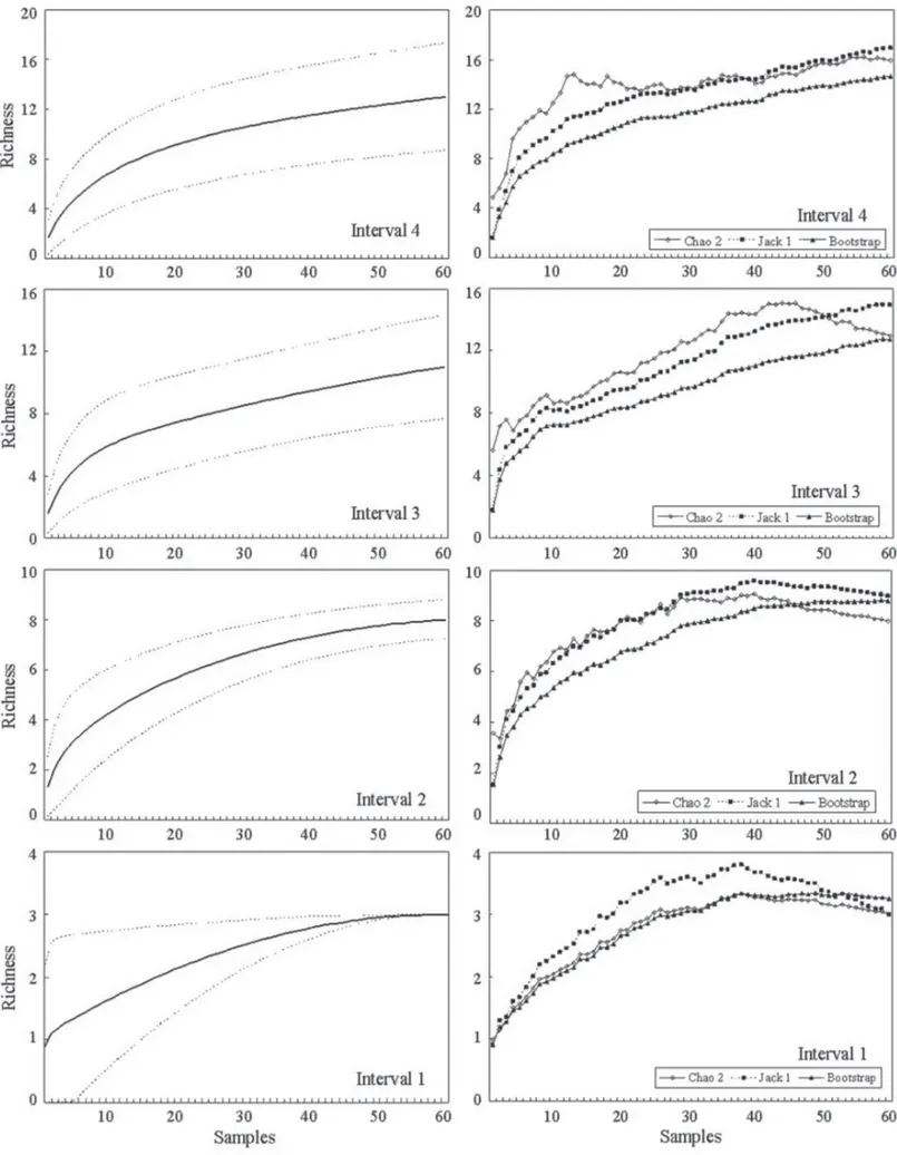 Figure 2. Rarefaction curve and richness estimators of epiphytic ferns sampled on the height intervals of Alsophila setosa Kaulf
