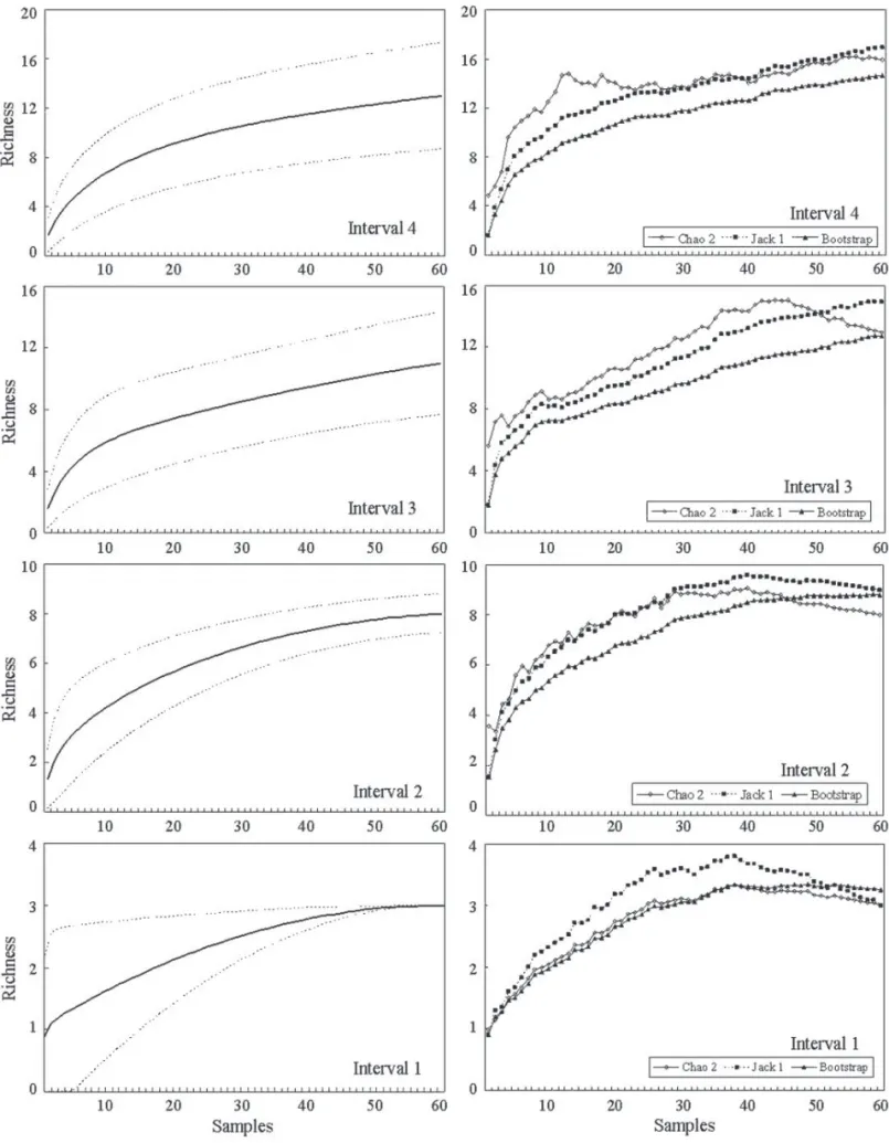 Figure 2. Rarefaction curve and richness estimators of epiphytic ferns sampled on the height intervals of Alsophila setosa Kaulf