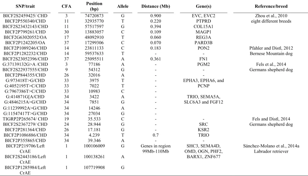 Table  5:  Summary  of  the  single  nucleotide  polymorphism  (SNP)  and  nearby  candidate  genes  identified  in  six  genome-wide  association  studies  of  canine  hip  dysplasia (CHD) and other related traits in reference breeds (Zhou et al., 2010; P
