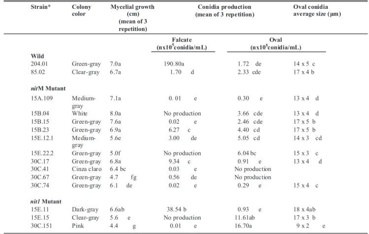 FIGURE 2 - PCR products obtained with primer  NcHMG (MAT2) on 1.4% agarose gel. 