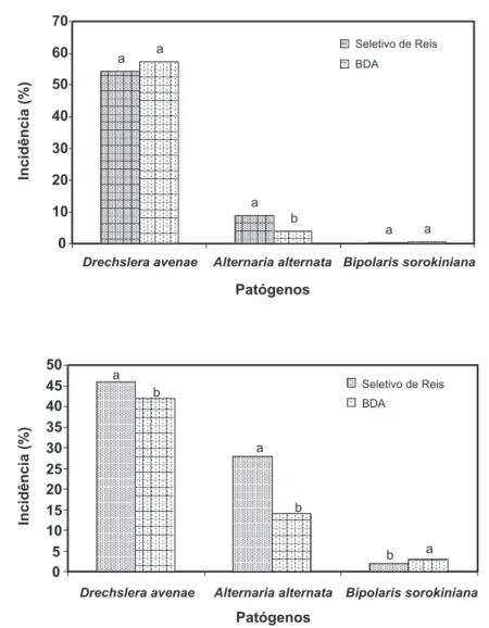 FIGURA  1  -  Comparação  da  sensibilidade  de  meios  de  cultura  para  detecção  de  Drechslera      avenae, Alternaria alternata e  Bipolaris  sorokiniana  em  sementes  de  aveia  A