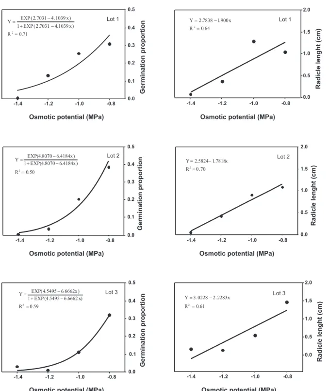 FIGURE 1 -  Radicle length and germination proportion of three lots of sunflower seeds submitted to seed blotter moistened  with osmotic solutions at different osmotic potentials.