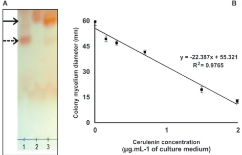 FIGURE  1  -  A.  Thin  layer  chromatography profiles. 1) control  containing  only  sterile  culture  media extract, 2) standard cerulenin,  3)  concentrated  extract  (purified  fraction  of  cerulenin)  from  crude  extract  of  Sarocladium  oryzae 