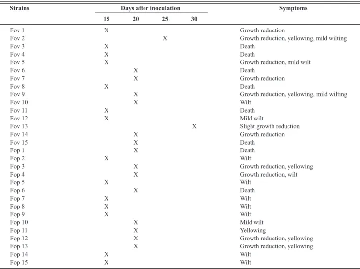 TABLE 2 -  Symptoms on cotton and common bean plants inoculated with  Fusarium oxysporum  f