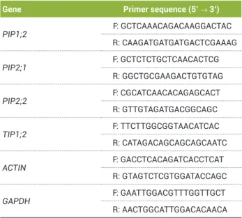 Table 1. List of primers used for semi-quantitative  RT–PCR  experiments