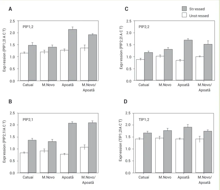 Figure 4. Semi-quantitative RT-PCR expression analysis of coffee AQPs in roots of plants under water stress (ψ w = −2.5 MPa)