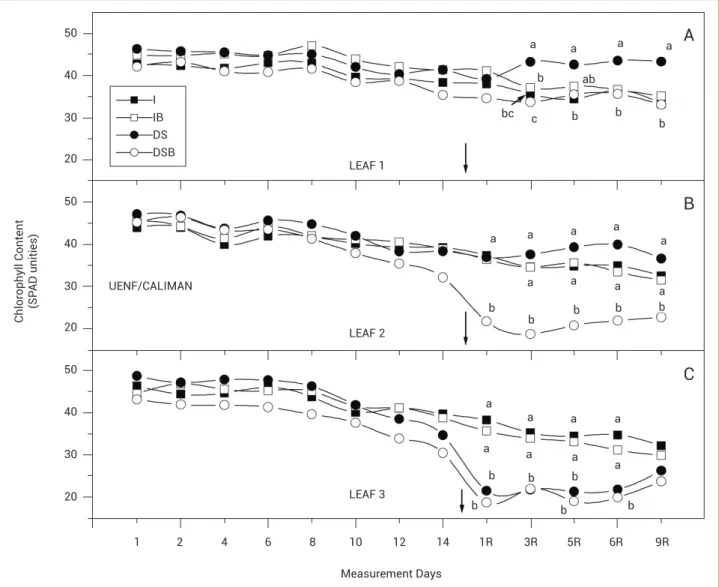 Figure 1. Effects of drought stress and brassinosteroid application on the chlorophyll content of leaves from genotype UC 01