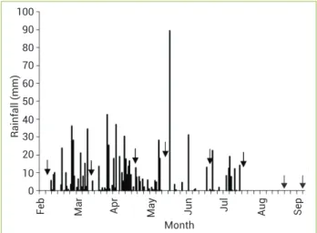 Figure 2. Daily rainfall obtained from automatic meteorological  stations installed in both experimental areas (AGP and SF),  from February to September, 2011