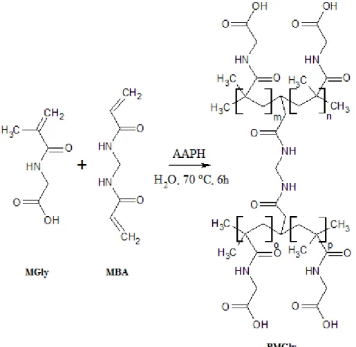 Figure 19 - Schematic representation of the MGly free radical polymerization reaction using MBA  as a cross-linker and AAPH as thermal initiator
