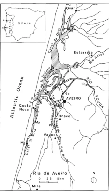 Fig.  1  Location  of  16 sampling stations  in  the Ria  d e  Aveiro,  Portugal:  in  the  Canal  de  Mira  (Stns M1,  M2,  M3); in  the  mouth of  the Ria  (Stn PlO), in other channels (Stns P2