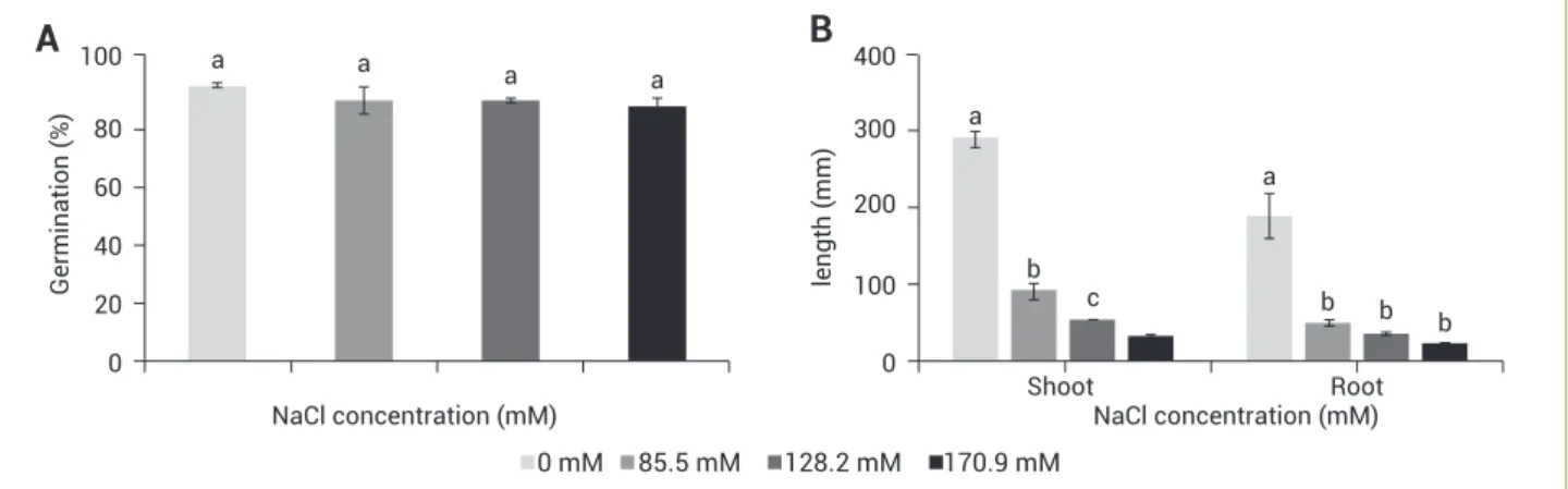 Figure 1. Percent germination of stylo 184 seeds (A), and growth of 7-d-old seedlings (B) after treatment with 0–170.9 mM NaCl