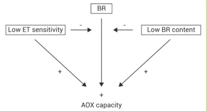 Figure 3. Hypothetical model of a possible interaction between  BR-ET effects on the mitochondrial electron transport related  to the alternative oxidase (AOX) pathway during the ripening  of postharvest papaya fruit
