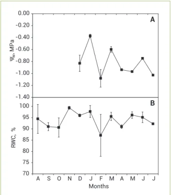 Figure  2.  Water  potential  (Ψ w ) of the cell sap of underground  structures of G.  marginata  from  December  2010  to  July  2011  (n=3) (A) and relative water content (RWC) from August 2010 to  July 2011 (n=5) (B)