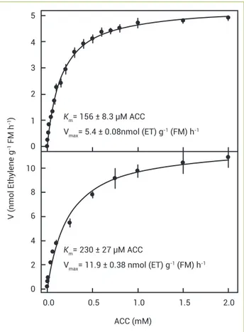 Figure 2. Effects of ACC concentration on ACO activity in vitro  (enzymatic extract of non-dormant seeds, upper section) and  in vivo (entire dormant seeds, lower section) on the velocity of  reaction (ethylene emanation)