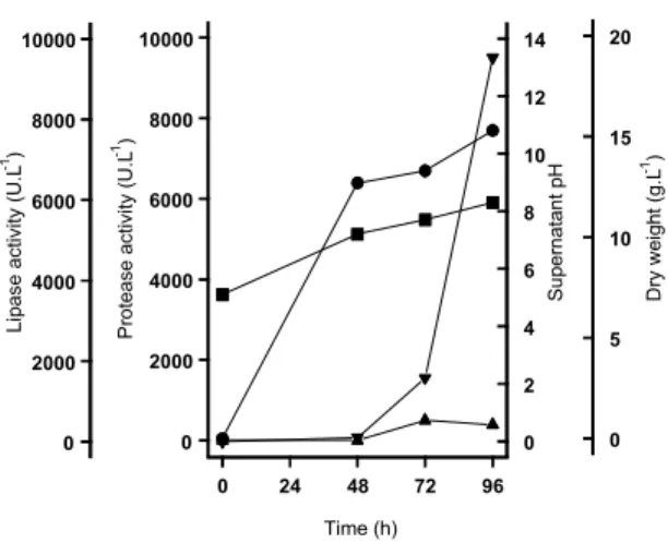 Figure 3. Effect of the pH on FS1 lipase activity and stability.