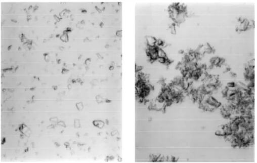 Figure 1. Photomicrographs of fluorite particles suspended in water (a) and aggregated in the presence of Corynebacterium xerosis (b)