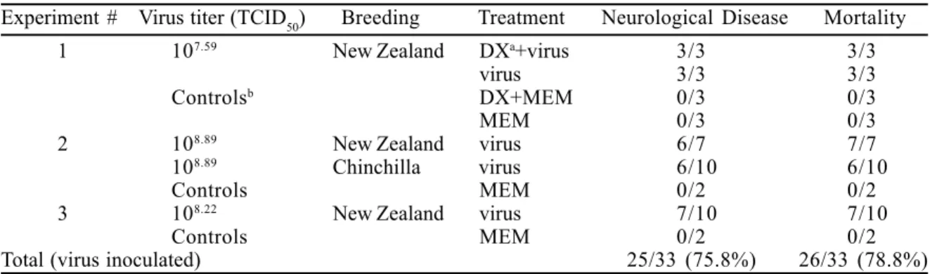 Table 1. Morbidity and mortality in weanling rabbits inoculated intranasally with bovine herpesvirus type-5 (BHV-5) strain EVI-88