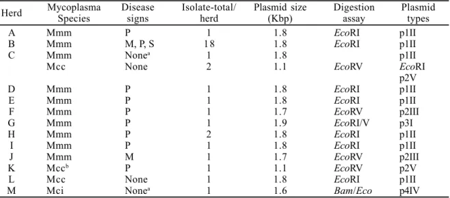 Table 1. Characteristics of the mycoplasma isolates and their recovered plasmid types