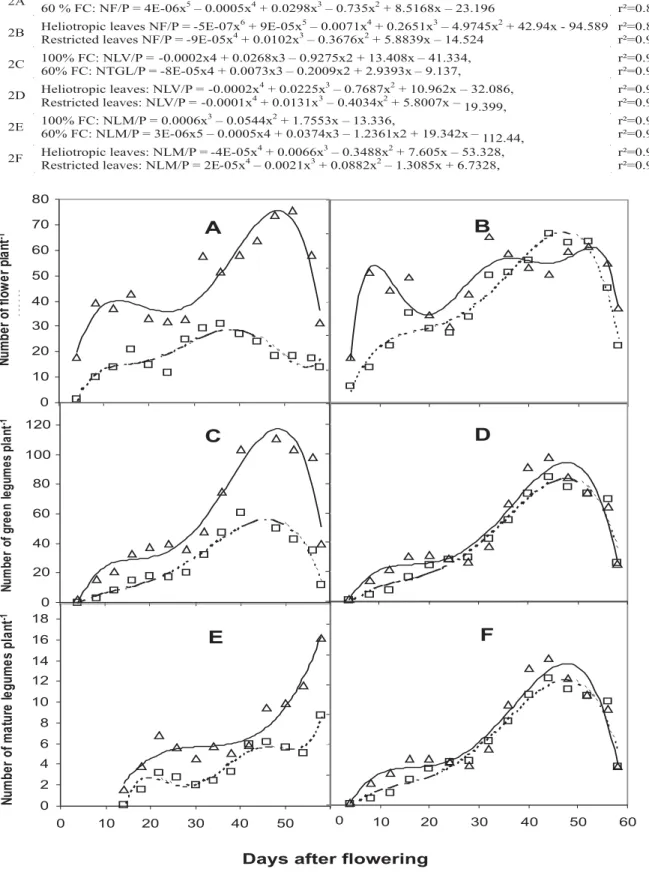 FIGURE 3.  Flowering Dinamics of M. lathyroides as a function of days after flowering in response to water availability (A, C, E) and leaf orientation (B, D, F)
