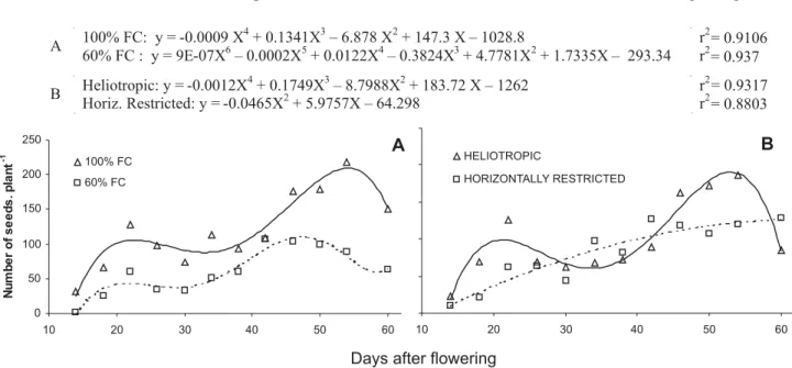 FIGURE 4.  Evolution of the number of seeds per plant of greenhouse grown M. lathyroides as a function of days after flowering under two water availability treatments (100% and 60% field capacity, A) and two leaf orientation treatments (freely moving or ho