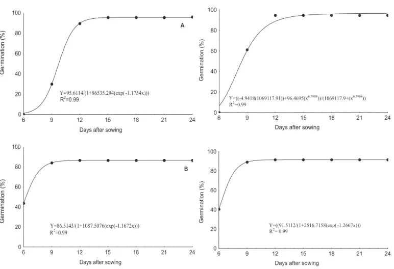 FIGURE 3. Germination of Schizolobium amazonicum seeds scarified on electric emery and followed by immediate sowing (A) and sowing after 24h (B)  in a sterilized 1:1 sand and sawdust mixture and left in uncontrolled conditions