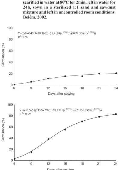 FIGURE 6. Germination of Schizolobium amazonicum seeds scarified in water at 100 0 C followed by immediate sowing (A) and sowing after 24h (B) in a sterilized 1:1 sand and sawdust mixture and left in uncontrolled room conditions
