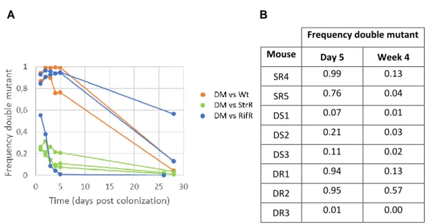 Figure  S3  -  Extended  competitions  suggest  convergence  of  the  double  mutant  frequency