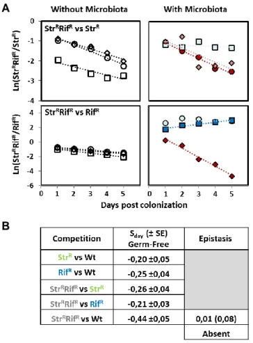 Figure S1 – Transitivity and absence of epistasis in vivo, in the absence of microbiota