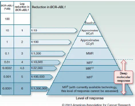Figura 6 - International Scale - Níveis de resposta citogenética e molecular. 