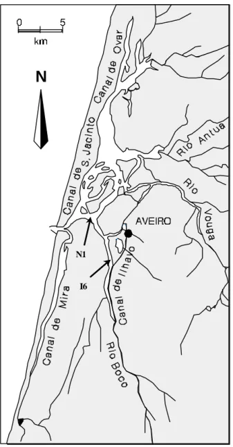 Figure 1: Ria de Aveiro, a coastal estuarine  ecosystem. Sampling transects (N1, marine zone and  I6, brackish zone) are indicated with arrows