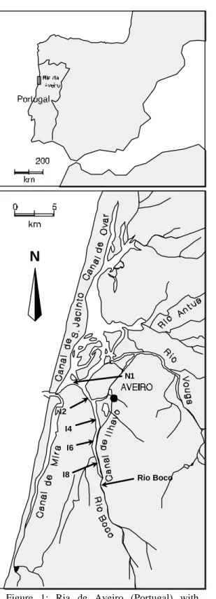 Figure 1: Ria de Aveiro (Portugal) with  sampling stations indicated  with arrows: 