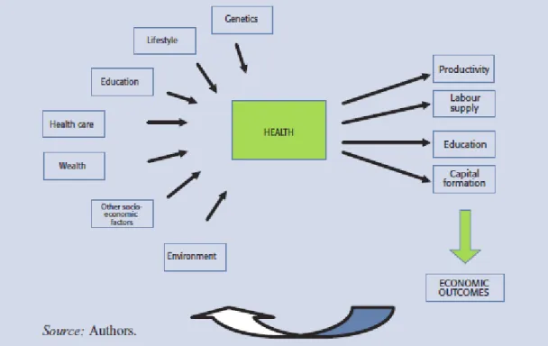 Figura 29 – Health inputs and health outputs 