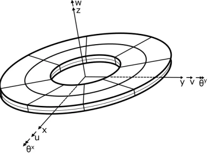 Figure 2.2: Spinning circular plate with mesh – kinematic model