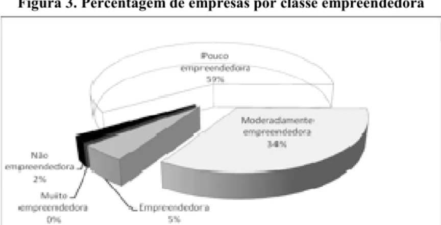 Figura 3. Percentagem de empresas por classe empreendedora 