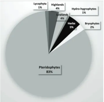 Figure 2. Percentage of terrestrial palynomorphs registered on core BU-91- BU-91-GL-05