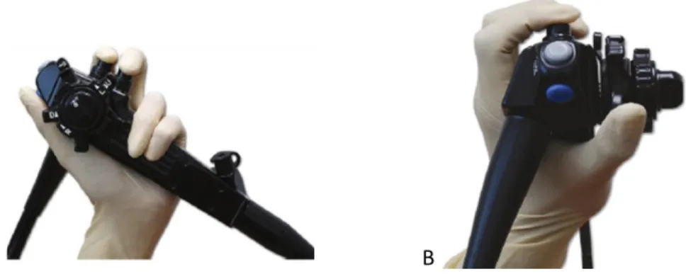 Fig 3. A e B Forma correta de segurar o corpo com endoscópio (Tams, 2011). 