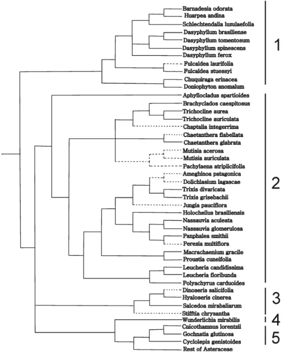 Figure 3. Pruned tree of Funk et al. (2009) including the species phylogenies (see Materials and Methods) with the lipophilic substances contained into the cells  optimized onto the tree