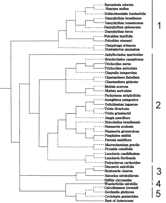 Figure 6. Pruned tree of Funk et al. (2009) including the species phylogenies (see Materials and Methods) with the starch optimized onto the tree