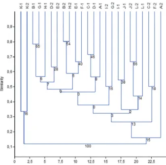 Figure 6. Dendrogram demonstrating the floristic similarities of the 24 collec- collec-tion sites in the Wildlife Proteccollec-tion Zone of the Palmares Environmental  Pro-tection Area, in Paty do Alferes, Rio de Janeiro State, Brazil, based on Sørensen’s 