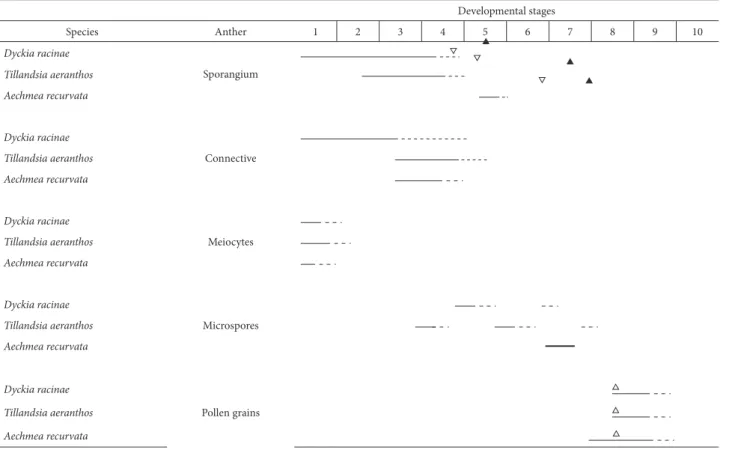 Table 1. 1. Microspore mother cell; 2. Dyad of microspores; 3. Tetrad of microspores; 4