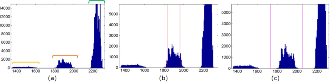 Figure 4.10: (a) Depth image histogram of Patient#42, where is possible to identify the background in green, the patient in orange and an outlier object in yellow