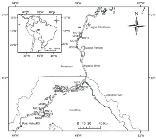 Figure 1: Study area and location where the samples were collected. Location MQ 19 falls within Humaitá city boundaries.